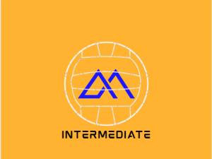 intermediate gaa gym/skill program