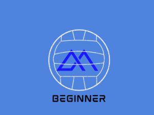beginner gaa gym/skill program